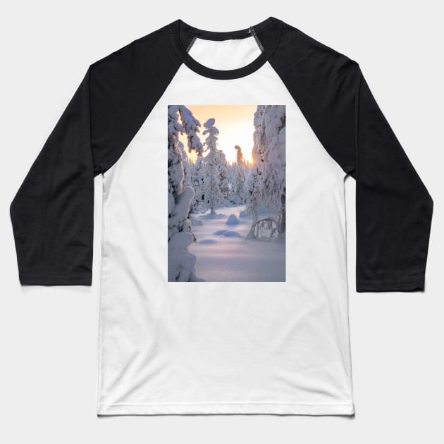 Arctic Winter Baseball T-Shirt by geoffshoults